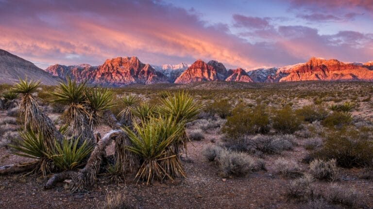 Las Vegas Mountains and Luxury Living