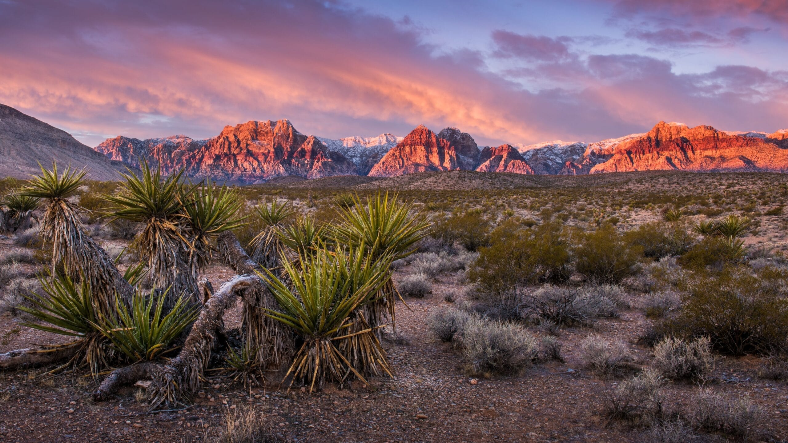 Las Vegas Mountains and Luxury Living